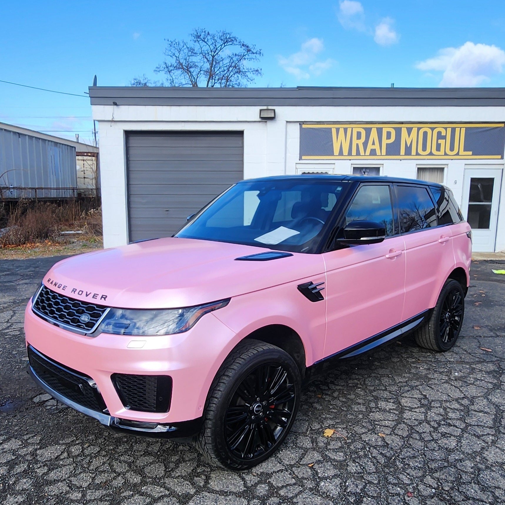 Full Vehicle - Vinyl Wraps