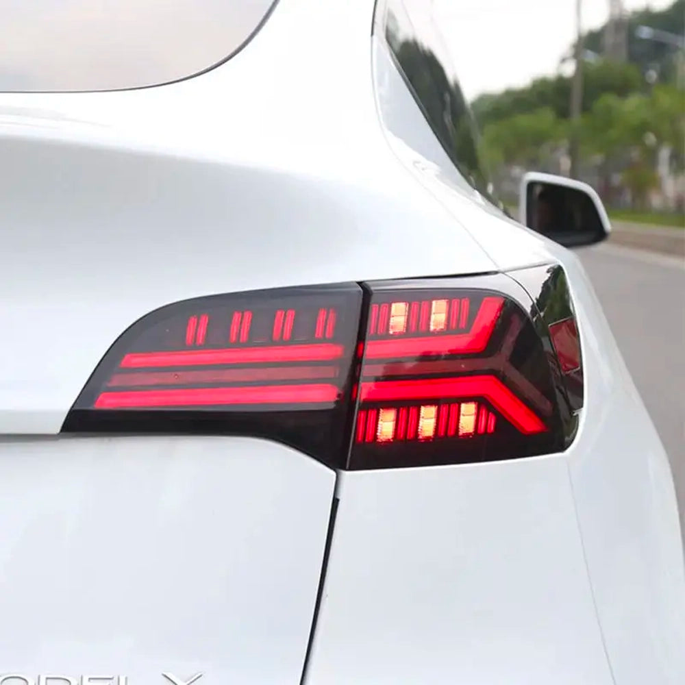 Tesla Model 3/Y Fish Bone Tail Light